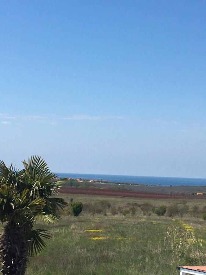 Haus Sunshine Villa Novigrad  ภายนอก รูปภาพ